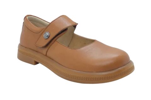 Dr. Mery M10099