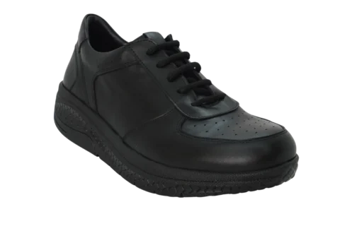 Dr. Mery M10501