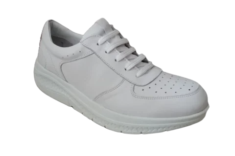Dr. Mery M10503