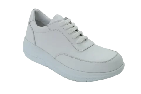 Dr. Mery M10504