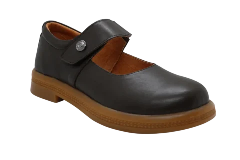 Dr. Mery M11019
