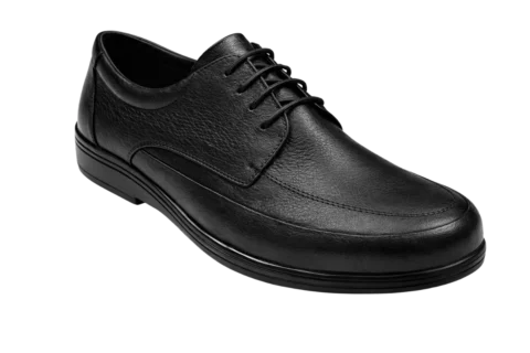 Dr. Mery M15021