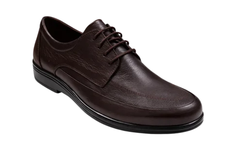 Dr. Mery M15025