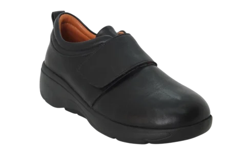 Dr. Mery M17001