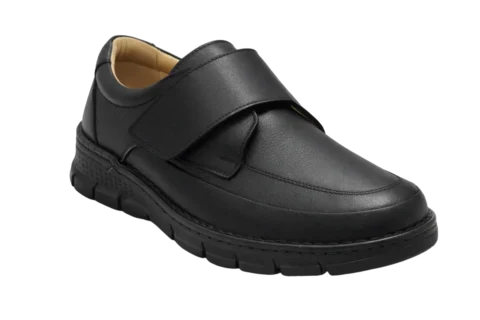 Dr. Mery M21003