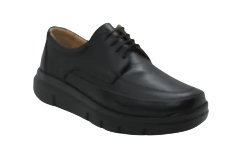 Dr. Mery M26015
