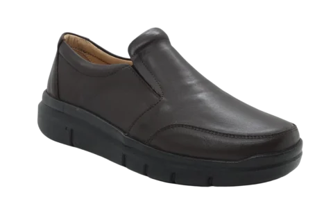 Dr. Mery M26016