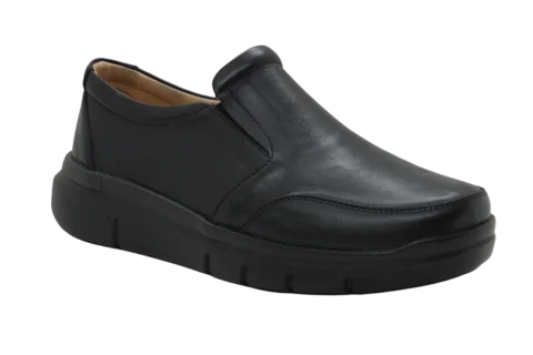 Dr. Mery M26018