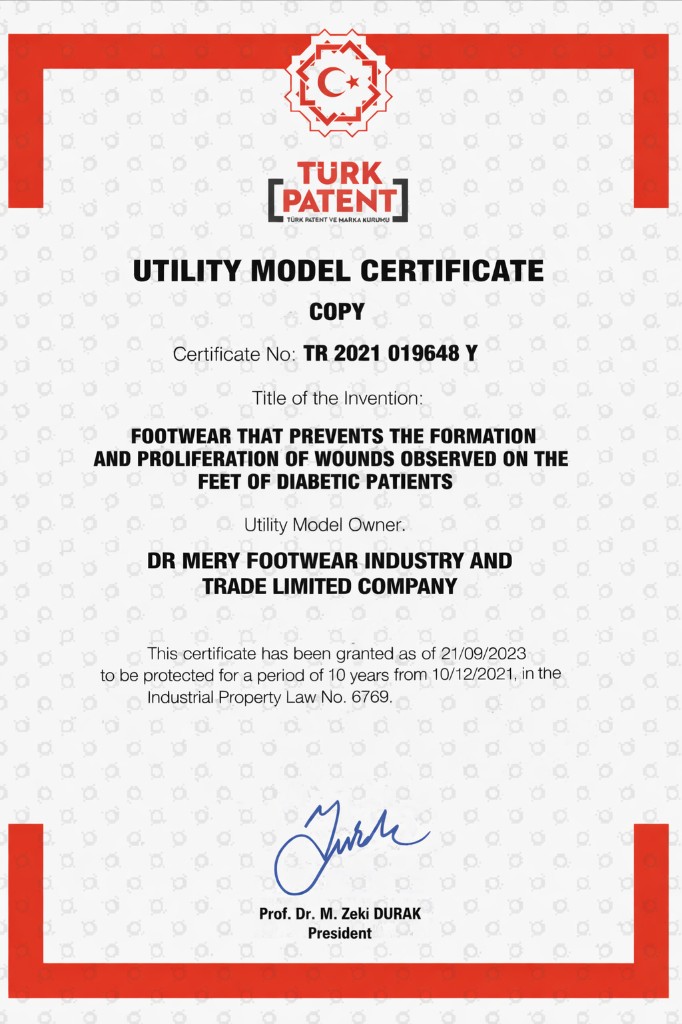 Diabetic Foot Utility Model